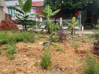 Bán lô đất có diện tích 535m2 thổ cư 200m tại tt lâm thao phú thọ. 1
