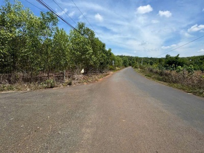 Bán đất làm nhà vườn 4
