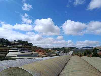 Bán lô đất lớn xuân thành xuân Thọ nay là phường Xuân Trường đà lạt 1
