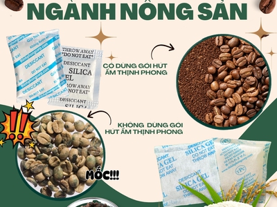 Nông sản có dễ giảm giá trị nếu thiếu gói hút ẩm 2