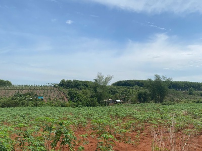 Bán đất vườn 3.600m giá chỉ 680 triệu 2