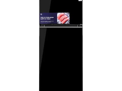 Tủ lạnh Electrolux 2 cánh ETM3100L-B, ETM3440L-B 0