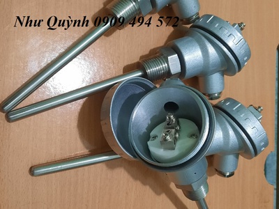 Dò nhiệt củ hành phi 6 100 1