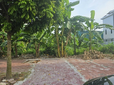 Cần bán lô đất thuộc khu đô thị phía Tây cầu Phú Lương, phường Nhị Châu, Hải Dương. 0