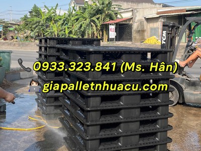  Dĩ An Ơi, Pallet Nhựa Siêu Cấp Vip Pro Đã Đổ Bộ   0