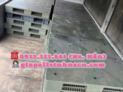  Dĩ An Ơi, Pallet Nhựa Siêu Cấp Vip Pro Đã Đổ Bộ   3