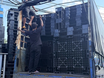  Dĩ An Ơi, Pallet Nhựa Siêu Cấp Vip Pro Đã Đổ Bộ   7