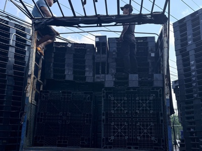  Dĩ An Ơi, Pallet Nhựa Siêu Cấp Vip Pro Đã Đổ Bộ   8