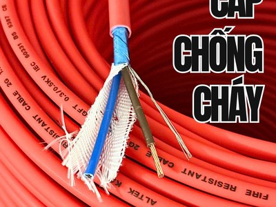 Cáp mạng chính hãng cho hệ thống camera 0