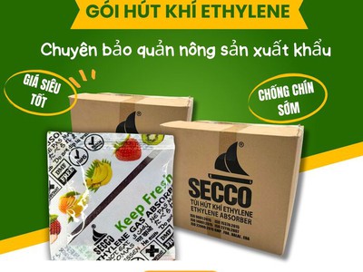 Gói hút khí ethylene Secco   Bí quyết bảo quản thanh long tươi, giữ tai xanh 1