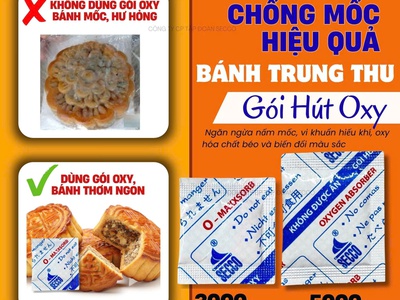 Gói Hút Oxy Secco 500cc Cho Bánh Trung Thu 7