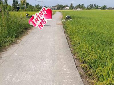F0 thổ cư đường nguyễn văn luỹ 2