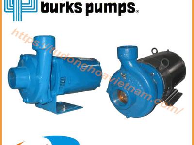 Bơm ly tâm Burks Pump Burks Pump centrifugal pumps 0