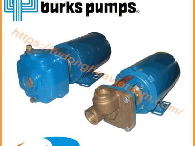 Bơm tuabin Burks Pump Burks Pump Việt Nam 0
