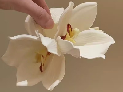 Kẹp Hoa Mộc Lan 0