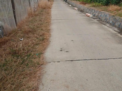 Chính chủ bán đất tại phan rang ,tháp chàm, ninh thuận 0