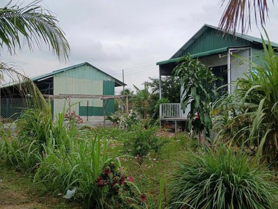 Chính chủ bán đất tại phan rang ,tháp chàm, ninh thuận 2