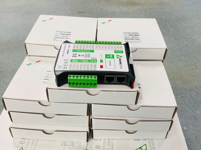 Đầu cân điện tử Pavone DAT 11 analog sản xuất tại Italy 0