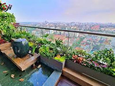 Ra mắt căn hộ sân vườn Eco Palace chỉ 1 tầng đặc biệt sở hữu ban công rộng, có lối đi ra hồ bơi 1