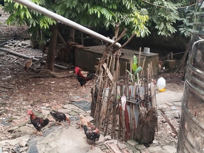Bán 48m đất xen kẹt siêu đẹp xã Đại Thanh, ngõ rộng, vị trí đẹp 1