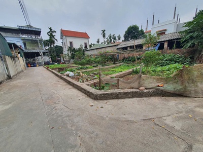 Bán 48m đất xen kẹt siêu đẹp xã Đại Thanh, ngõ rộng, vị trí đẹp 0