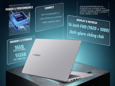 Máy tính xách tay Asus ExpertBook P1 P1403CVA 0