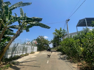 Bán đất 180m2 Lộc An, Bảo Lộc Sổ riêng, gần QL20, giá 600 triệu 1