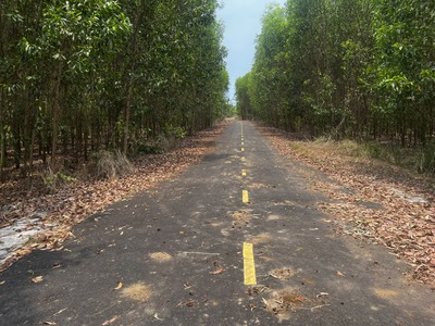 10.598m2 đất Láng Dài - xã Đất Đỏ - TP HCM, mặt tiền đường nhựa dài 185m, giá 8,5 tỷ 2