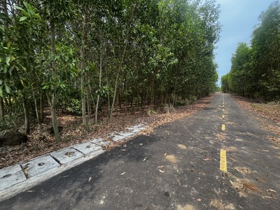 10.598m2 đất Láng Dài - xã Đất Đỏ - TP HCM, mặt tiền đường nhựa dài 185m, giá 8,5 tỷ 3