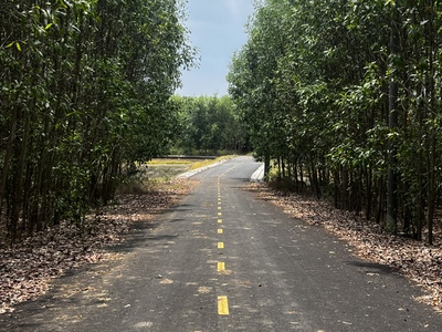 10.598m2 đất Láng Dài - xã Đất Đỏ - TP HCM, mặt tiền đường nhựa dài 185m, giá 8,5 tỷ 5