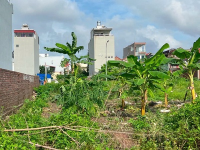 Bán lô đất ĐẸP không lỗi lầm 75m2 TĐC Đống Chuối, Hùng Vương, Hồng Bàng, Hải Phòng 3