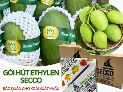 Chống Chín Sớm Trái Cây Bằng Gói Hút Ethylene Cho Doanh Nghiệp Xuất Xa 1