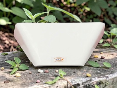 Đèn diệt côn trùng ZL-011 sử dụng keo dính 1