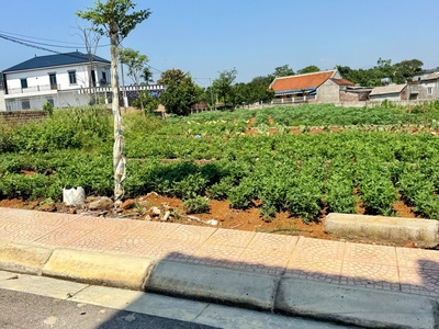 100m full thổ cạnh quỹ đất giáo dục mới tại Phú Cát cơ hội đầu tư sáng giá tại Hoà Lạc 4
