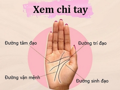 Cách xem chỉ tay sinh đạo đoán được vận mệnh và sức khỏe 0