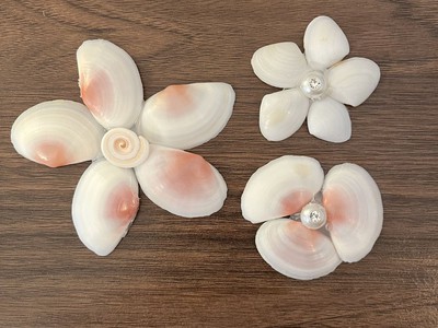 Kẹp Tóc Đi Biển Đẹp Chuẩn Trend TikTok Hiện Nay 0