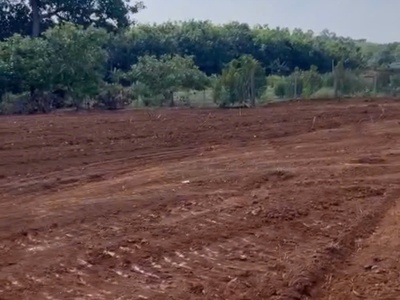 Chủ cần bán hơn 9 sào đất, mặt tiền nhựa, đất phủ hồng. giá chỉ 225 triệu. 3