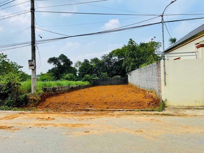 Cần tiền bán lô đất đẹp miễu, tiễn xuân giá rẻ 83m nhỉnh 3tỷ đường 3 ôtô thông rộng tứ phía 1