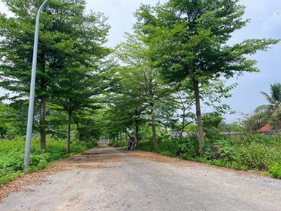 Nhỉnh 2 tỷ cho lô đất có giá trị ở thực tại Hòa Lạc 0