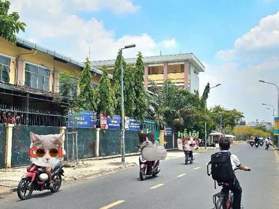 Bán nhà mặt tiền kd ngay trường tiểu học bình long - dtsd100m2 - 2 tầng - 5.4 tỷ tl 0