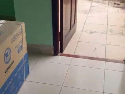 Bán nhà 3 tầng lô góc đường Morrison khu an cư 3 ven biển Mỹ Khê, Sơn Trà 2