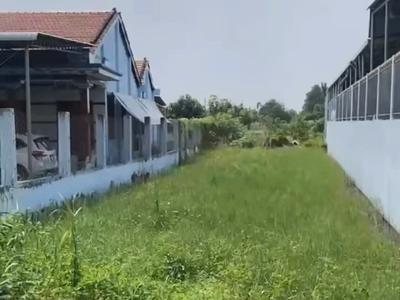 Chính chủ bán 1000m2 đất tại ấp 5, tân hòa, huyện bến lức, long an 1