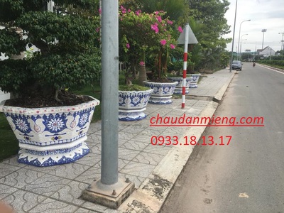 Chậu cảnh , chậu khảm sành thủ công , chậu size khủng , chậu xi măng 2
