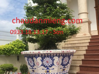 Chậu cảnh , chậu khảm sành thủ công , chậu size khủng , chậu xi măng 4