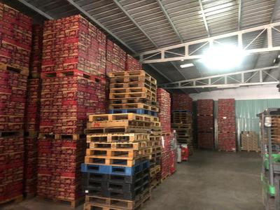 Cho thuê kho gò vấp 800m2 60tr có văn phòng an ninh 24/7 0