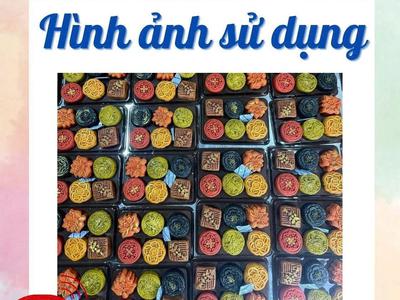 Gói oxy-chống mốc bánh trung thu-oxytoc 4