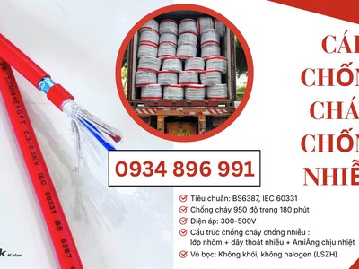 Cáp chống cháy chống nhiễu 2 lõi Có Sẵn TP.HCM, Bình Dương và Đồng Nai. 1