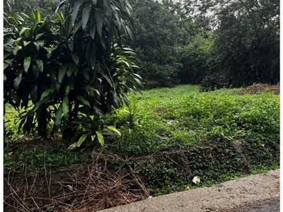 Sở hữu ngay đất nhà vườn đẹp mặt tiền đường nhựa sẵn vườn cây ăn trái cho thu hoạch 1