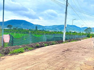 6.500m2 đất liên hiệp cu, lâm đồng - 2500m2 thổ cư - quy hoạch full hồng 2