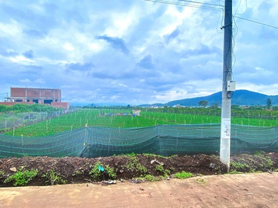 6.500m2 đất liên hiệp cu, lâm đồng - 2500m2 thổ cư - quy hoạch full hồng 4